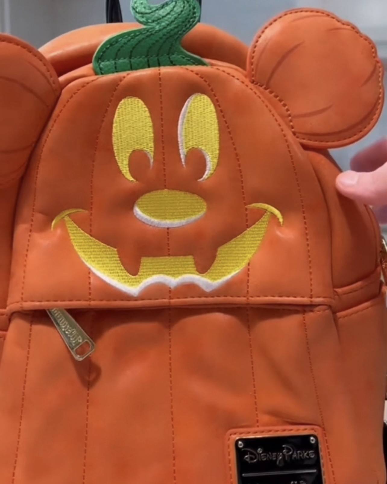 Loungefly bag organizer 