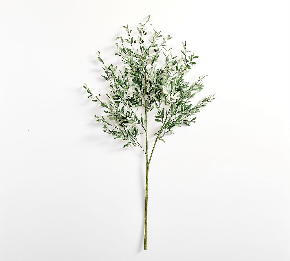 Traditional Faux Olive Branch | Pottery Barn (US)