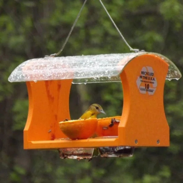 Hanging Tray Bird Feeder | Wayfair North America