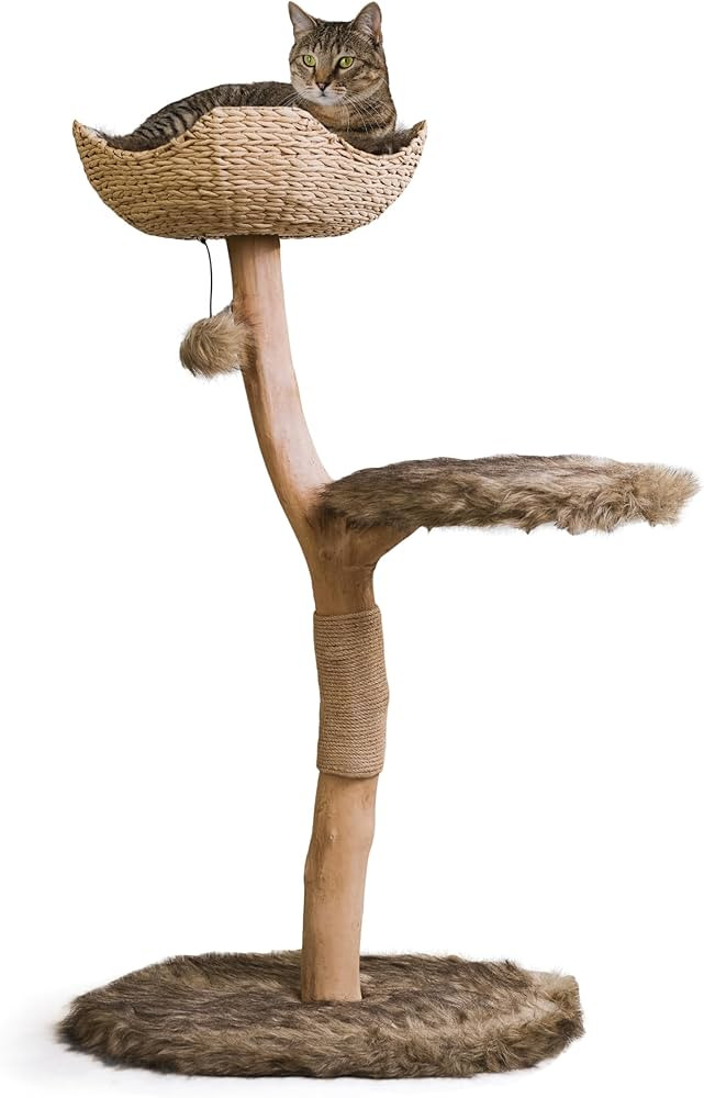 Wooden Cat Tree Tower, Modern Single Branch Cat Condo, Wood Cat Tree, Cat Climbing, Furniture for... | Amazon (US)