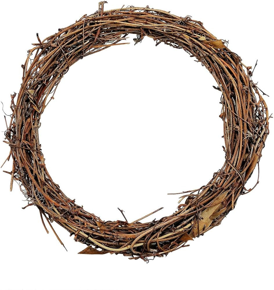 10" Natural Grapevine Wreath DIY Crafts Rattan Wreaths for Christmas Door Hanging Wall Window Hol... | Amazon (US)
