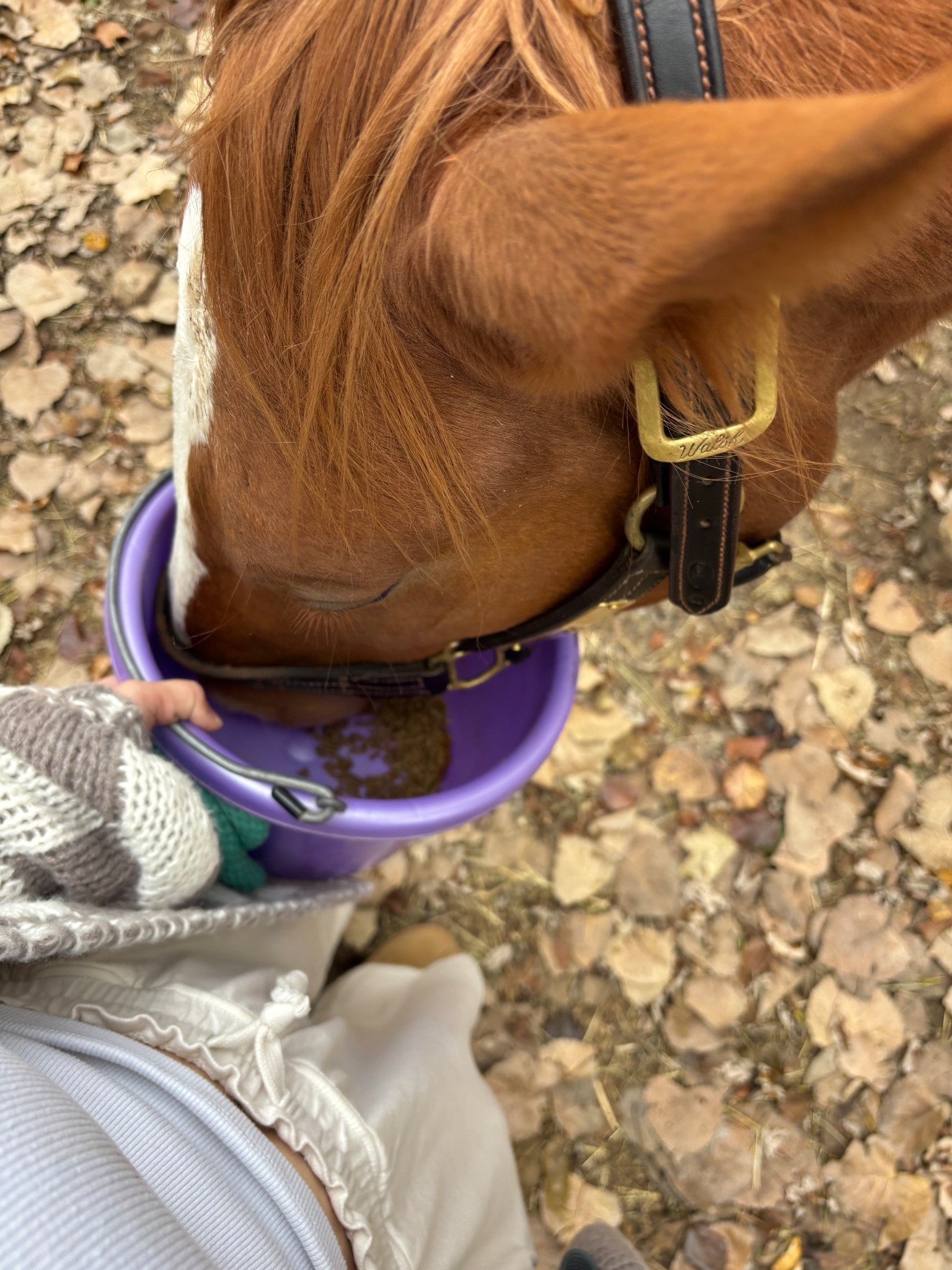 Favorite part of the day 🥹 shared this cardigan and joggers a while ago! Joggers are sold out so linking similar from aerie. Cardigan is in stock and restocked in the taupe color I got last spring! Rebeccalynneechols15 is stackable and can save you money at checkout!

#LTKmomlife #LTKdayinmylife #LTKGiftGuide