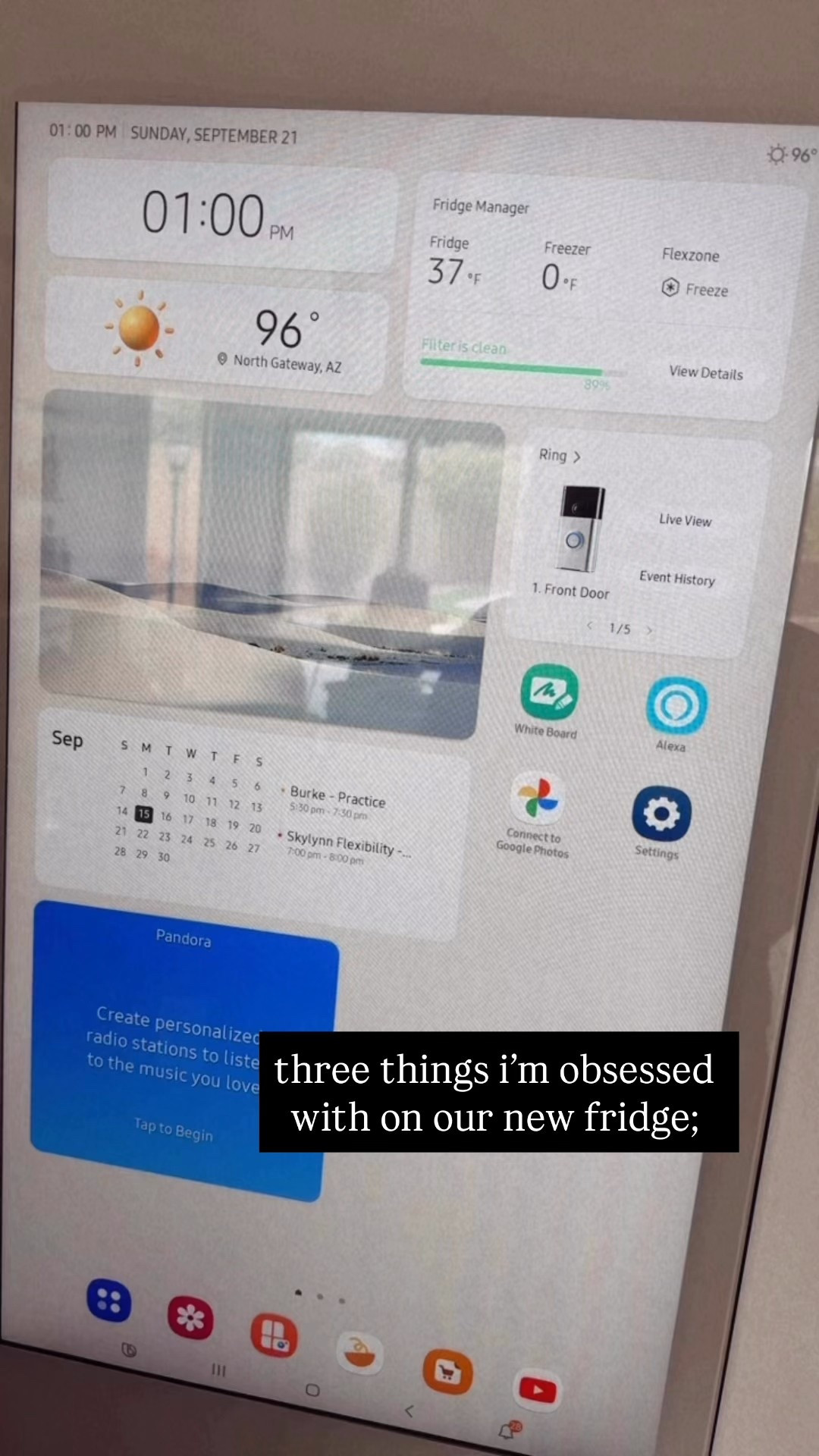 this thing is the bees-knees