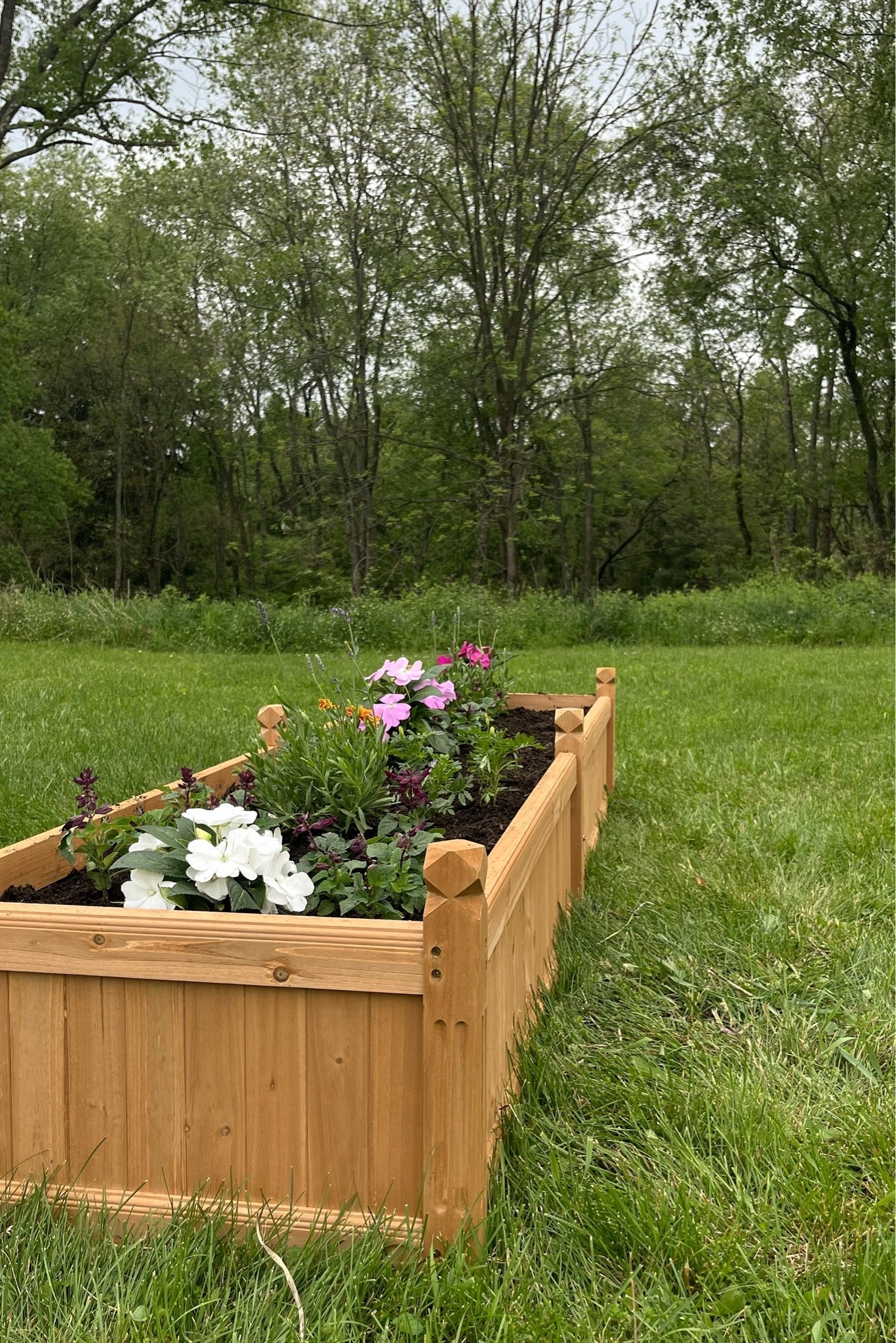 #ad ordered two of these beautiful raised wooden garden beds from @Wayfair ! each took about 15 minutes to assemble & we’re really impressed with the quality and wood tone. we have two of the 90.5” x 23.5” beds! 

#wishyouwerehere #outdoor #wayfair wayfairpartner