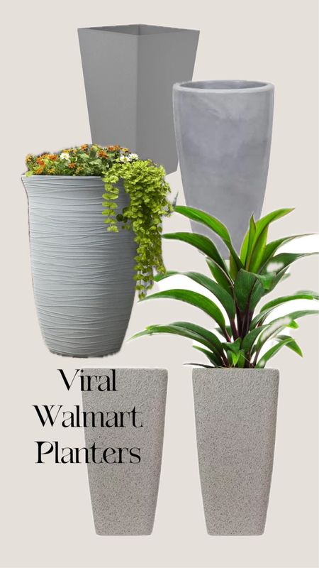 Viral Walmart tall planters are perfect for your porch or patio this Spring. Fill with your favorite plants or flowers and see how it elevates your outdoor spaces.

#LTKfindsunder50 #LTKSeasonal #LTKhome