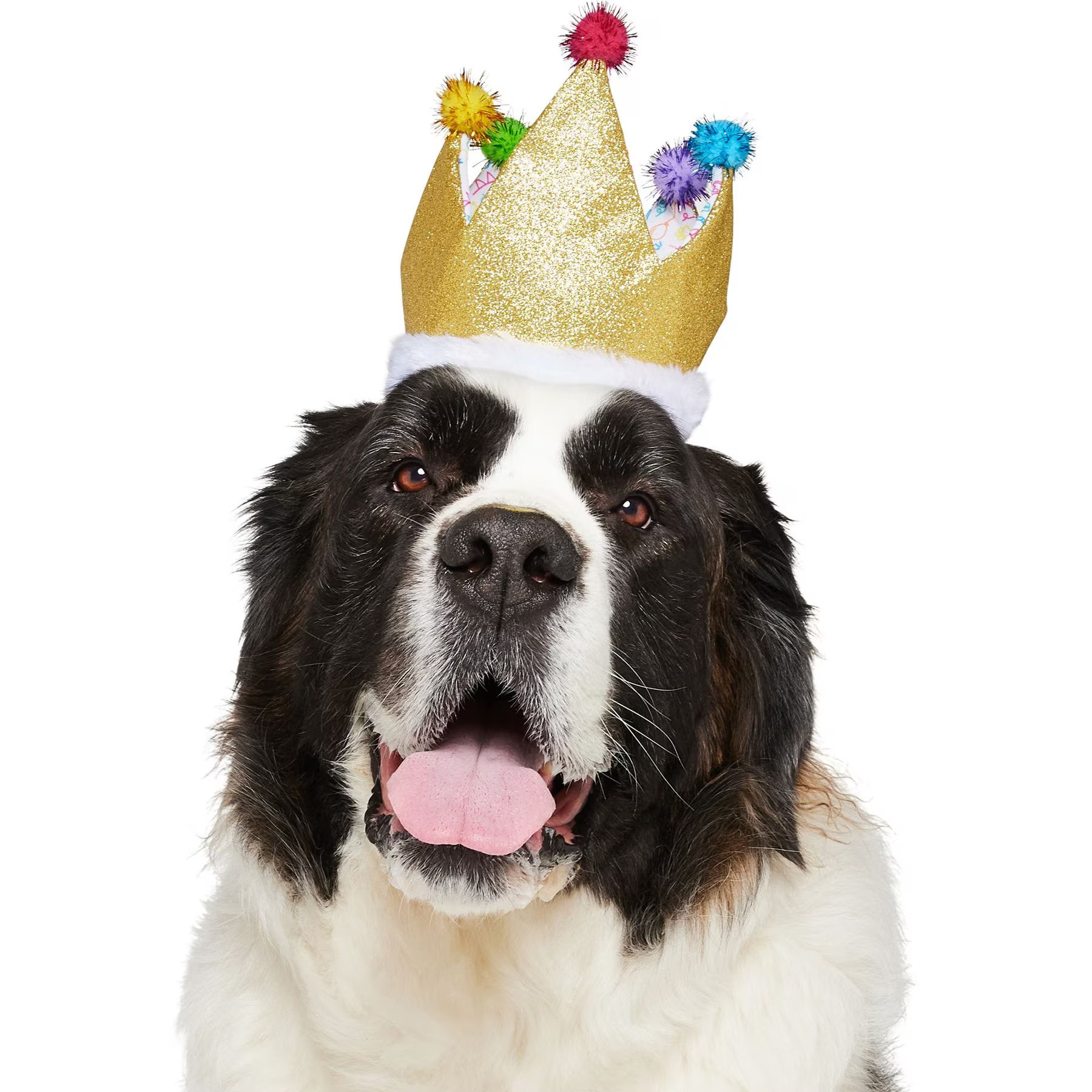 Frisco Birthday Glitter Crown Dog & Cat Hat, Medium/Large | Chewy