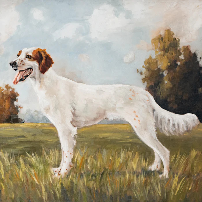 English Setter | Society6