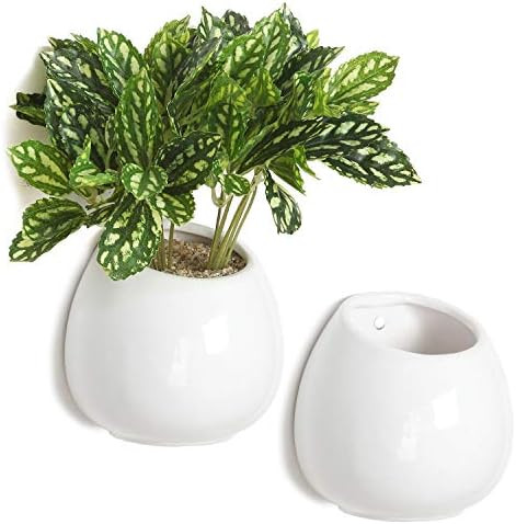Amazon.com: MyGift 4 Inch Small Wall Mounted Ceramic Flower Plant Vase, Succulent Planter Pots, S... | Amazon (US)