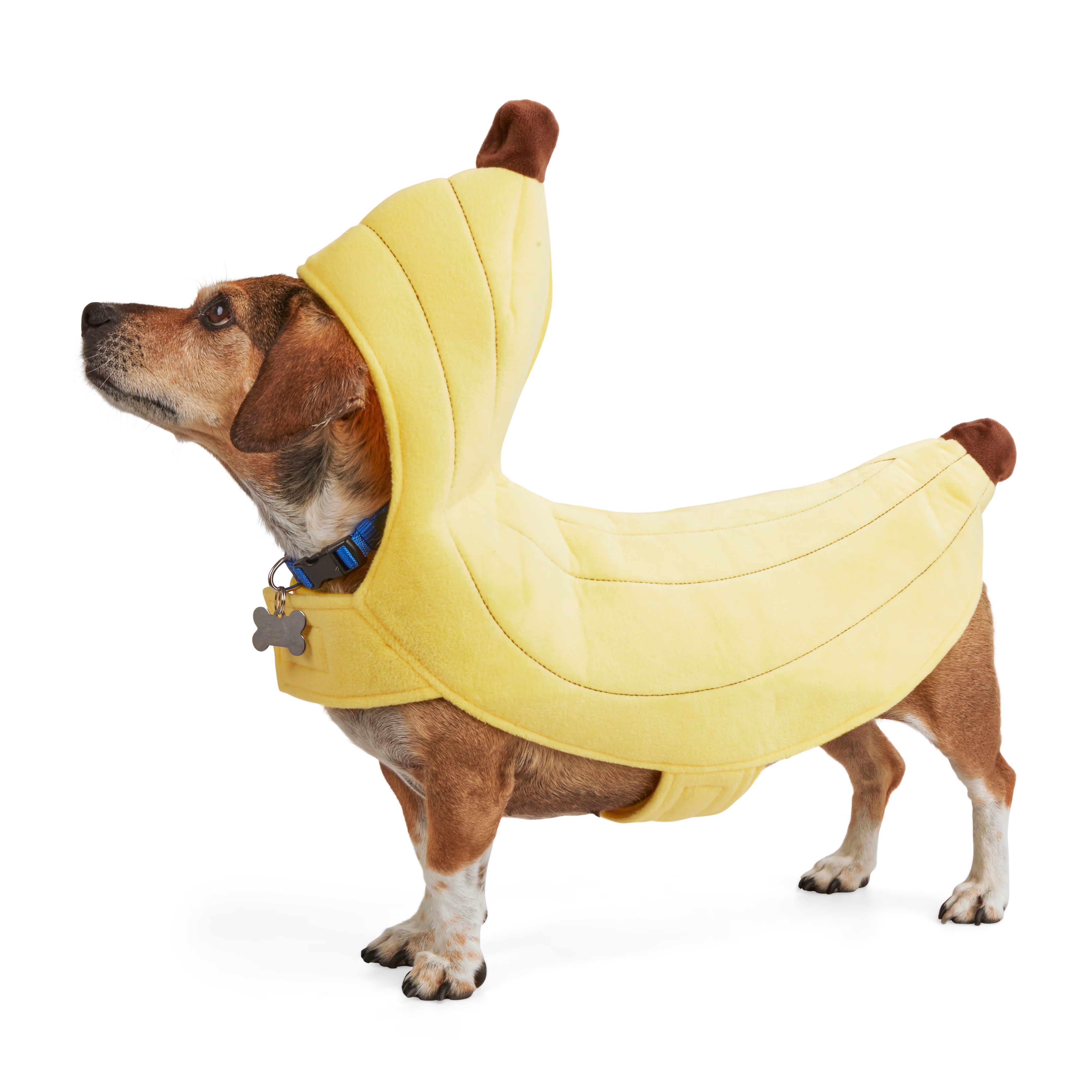 Bootique Banana Split Pet Costume, Small | Petco