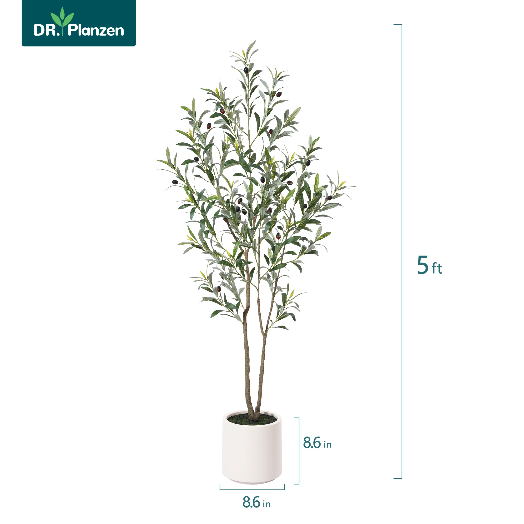 5FT Artificial Muti-Trunk Olive Tree Plants with 8.6 inches Large White Planter. 8 lb. DR.Planzen | Walmart (US)