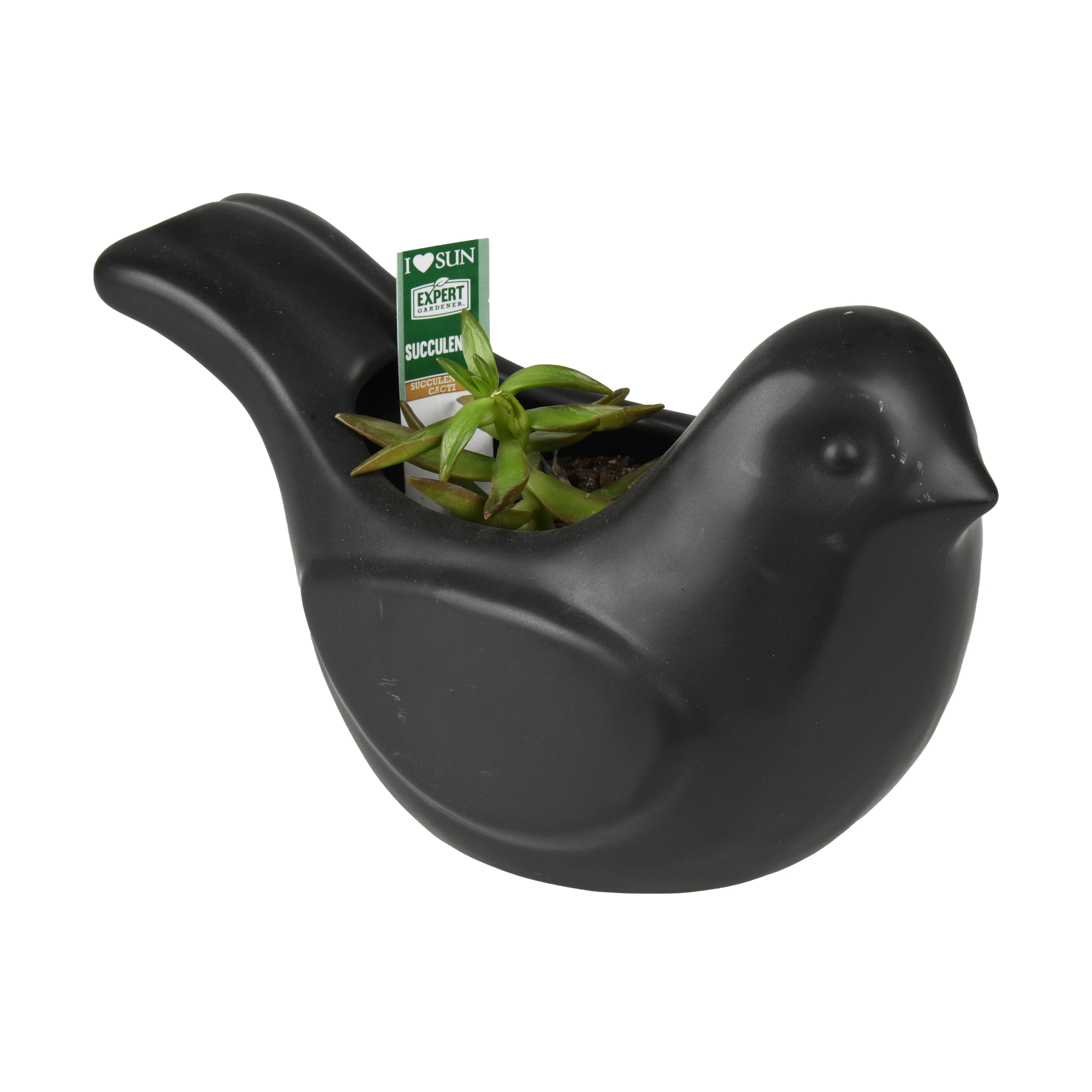 Better Homes & Gardens Indoor Outdoor Ceramic Bird Planter, 10" | Walmart (US)