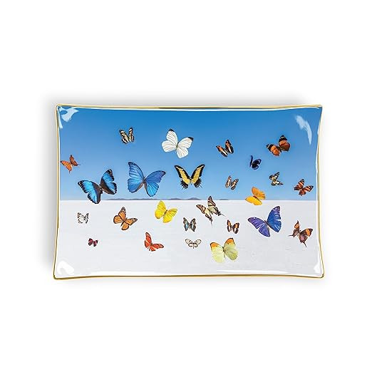 Gray Malin The Butterflies Porcelain Tray     Novelty Book – January 21, 2020 | Amazon (US)