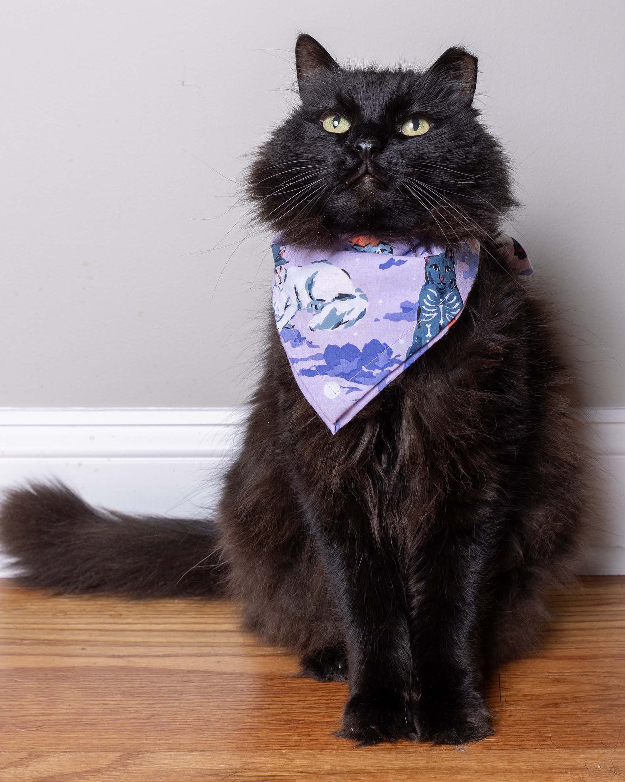 Halloween House Cats - Pet Bandana - Lavender | Printfresh