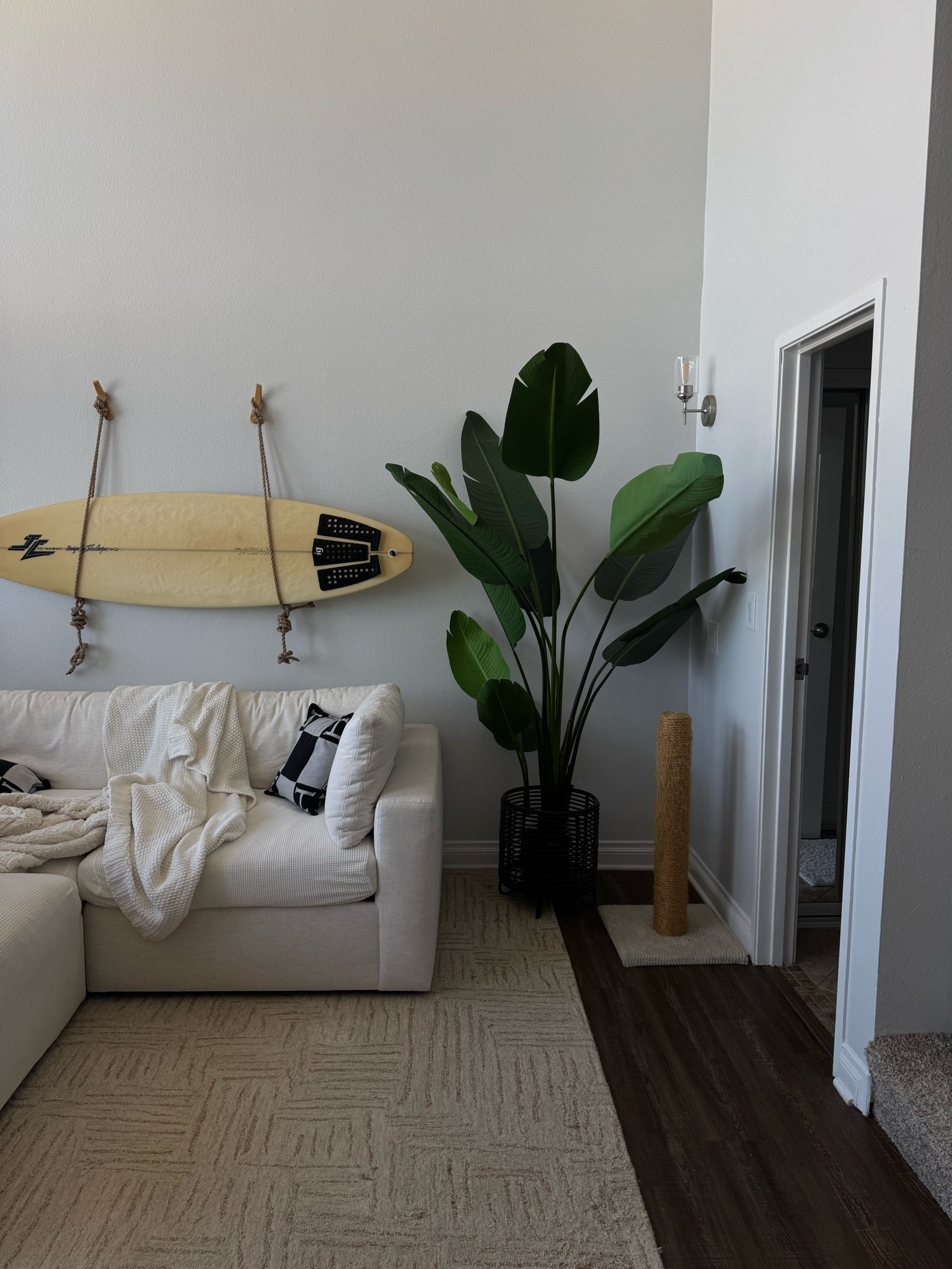 7 ft paradise palm 


#LTKHome