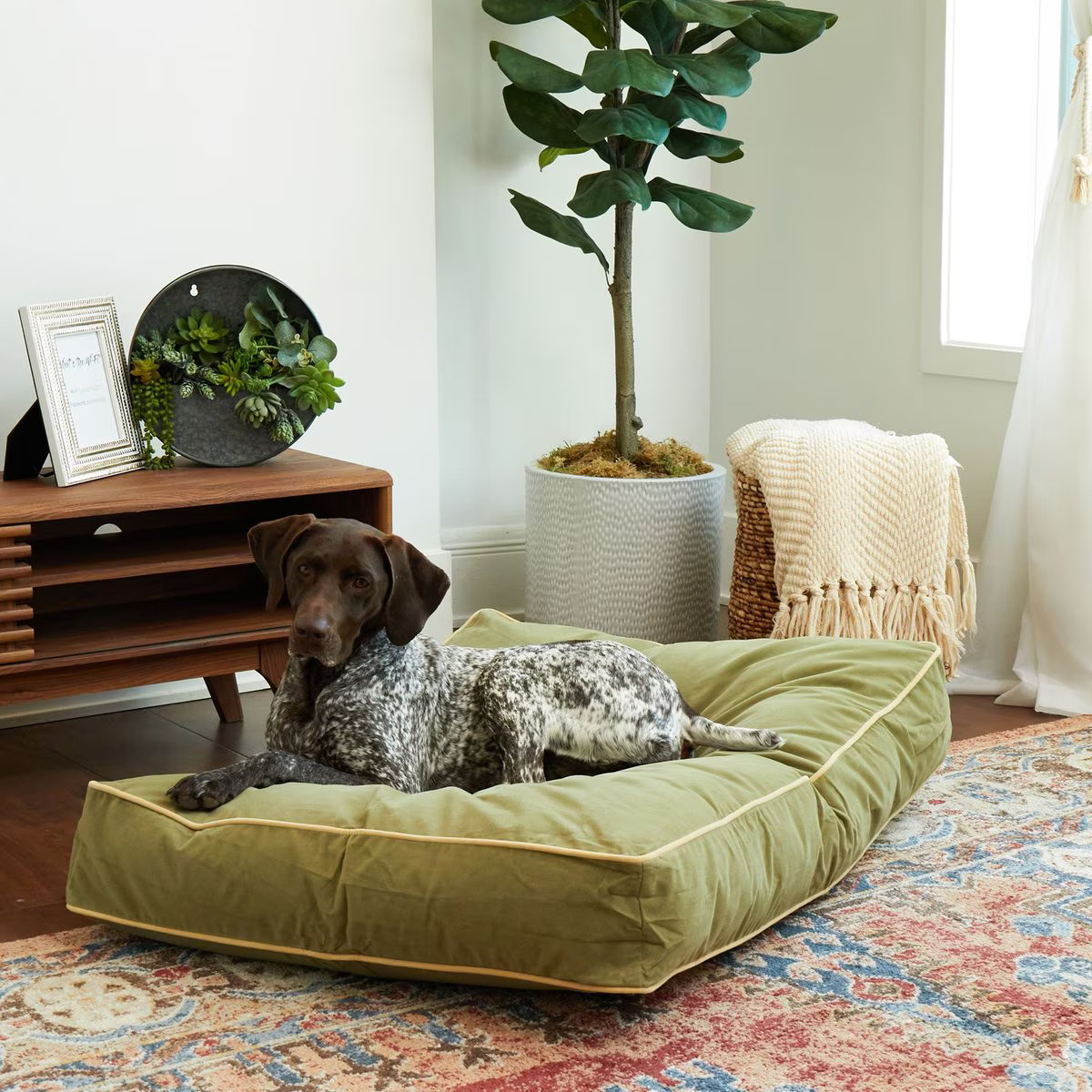 Happy Hounds Bailey Rectangle Pillow Dog Bed with Removable Cover, Moss, Medium | Chewy