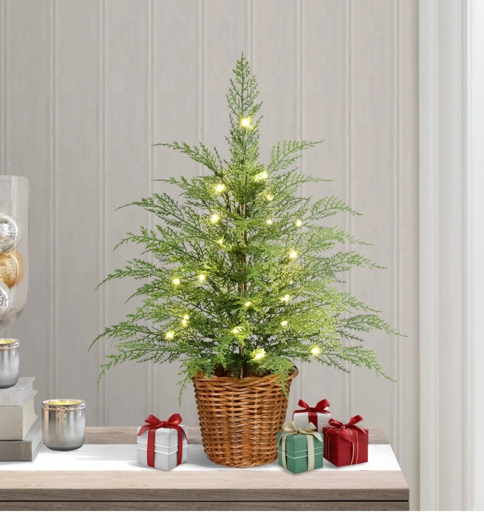 The viral twinkle tree from My Texas House now comes in a 2ft tabletop size. I have so many spots for this! Get it before it’s gone 

#LTKSeasonal #LTKHome #LTKOver40