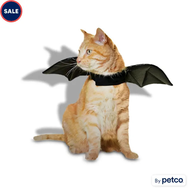 Bootique Bat Wings Cat Halloween Costume, X-Small | Petco
