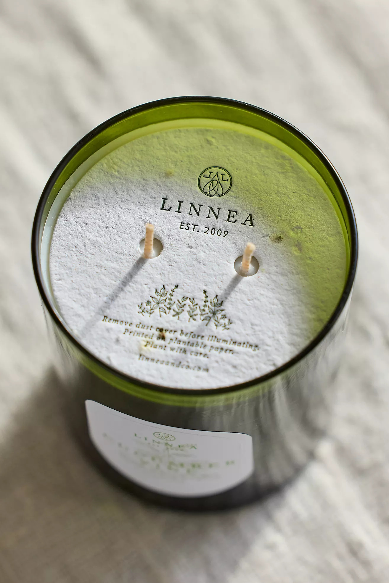 Linnea Candle, Cucumber Vine | Terrain