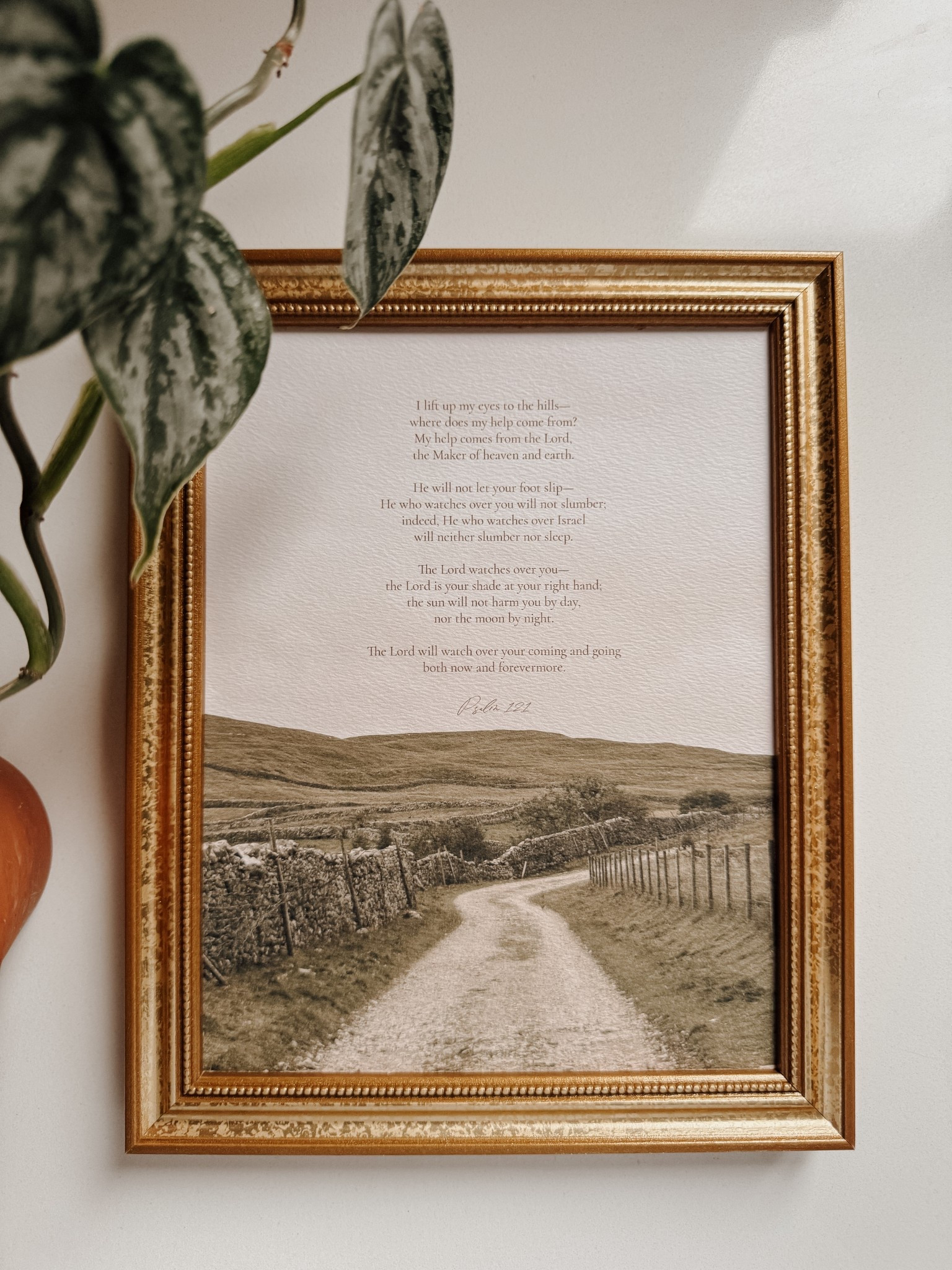 Beautiful artwork for your home 🤍

English countryside | artwork | wall art | photos of England | home decor | framed artwork | home sweet home 

#LTKHome #LTKTravel #LTKSaleAlert