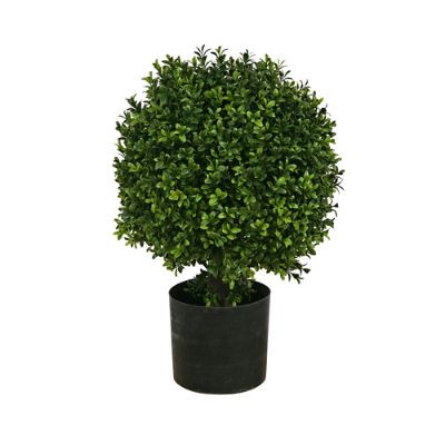 20' Ball Outdoor Boxwood Topiary | Frontgate | Frontgate