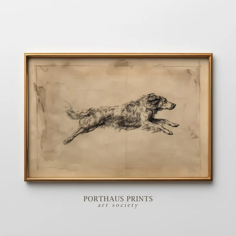 Vintage Running Dog Print, Working Collie Sketch, Puppy Zoomies, Dog Lover Gift (digital Download... | Etsy (US)