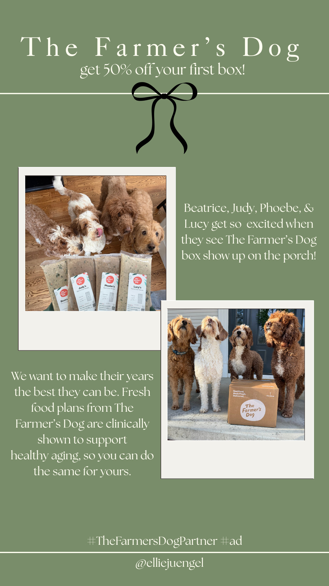 #ad #TheFarmersDogPartner These dogs are loving their special recipes from The Farmer's Dog! Get 50% off your first box and give your dog more years!  @thefarmersdog  #TFDPartner #thefarmersdog

 