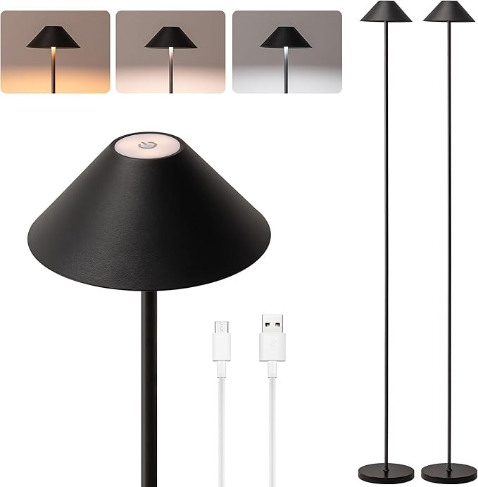 Rechargeable Floor Lamp for Indoor/Outdoor, Cordless Tall Standing Lamp with 3 Color Temps & Dimm... | Amazon (US)