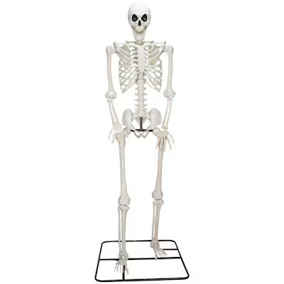 Haunted Living 10-ft Poseable Skeleton Decoration | Lowe's