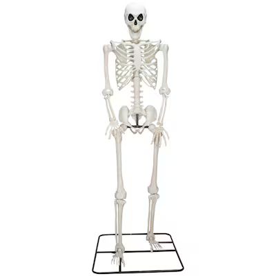 Haunted Living 10-ft Poseable Skeleton Yard Decoration | Lowe's