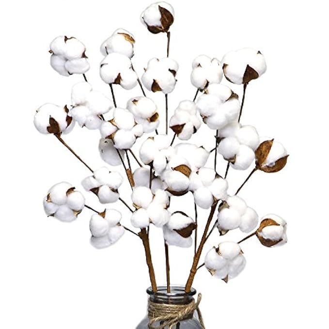 Coceca Cotton Stems - 3 Pack 10 Balls Per Stem - 23 Inch Farmhouse Display Filler-Foral Decoration | Amazon (US)