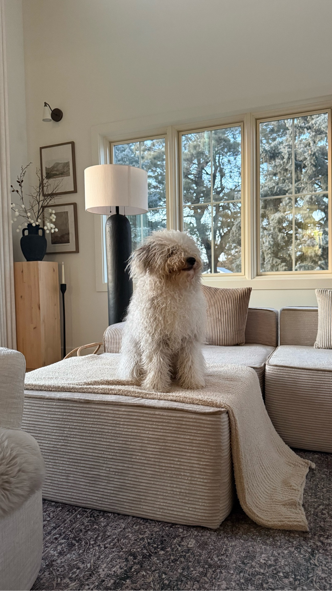 I’m not kidding.  The softest bath robe and blanket ever from @luxome arrived at the perfect time: right before the super cold hit and I’m in heaven.  It came wrapped like a present that I happily opened and used it right away.  Follow me on LTK and comment SHOP for links.  Have a great day! ❤️

Self care for me is being home with my dogs, a sunset, cozy clothes, and a good glass of wine.  What’s yours?

Thank you @luxome for the robe and blanket.  All opinions are my own.

#whitehouse #homedecorating #greatroom #nighttimeroutine #throwblanket #giftforyourself #ralphlauren #sheepadoodle #collie

#LTKselfcare #LTKmomlife #LTKHome