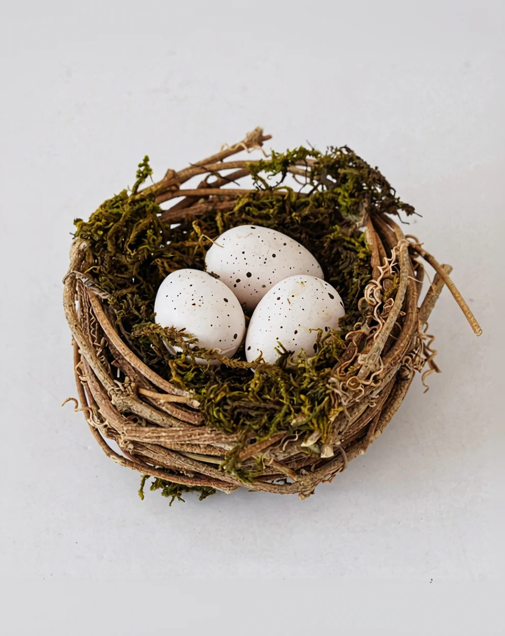 Mossy Twig Nest with Eggs | MJHome