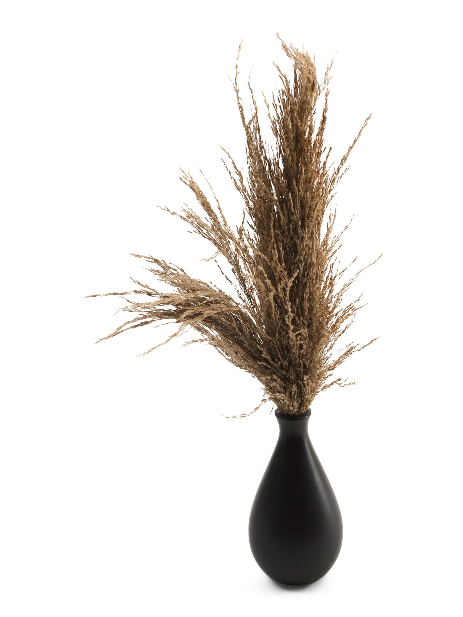 Dried Natural Pampas In Tear Drop Vase | TJ Maxx