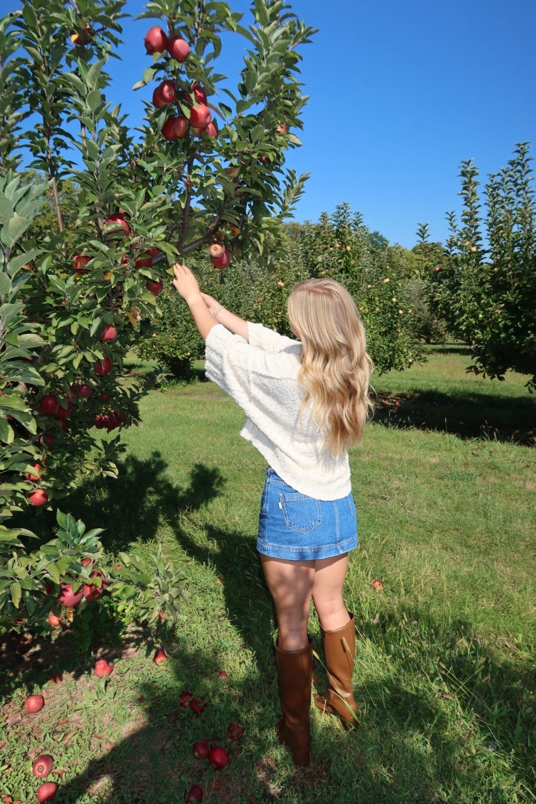 Pumpkin Patch Fall Outfit 

#LTKU #LTKSeasonal #LTKStyleTip