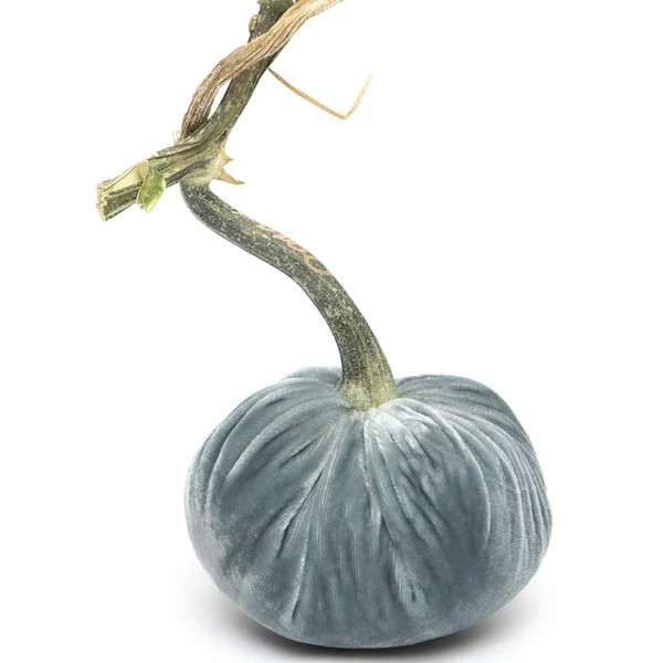 Lake Silk Velvet Pumpkin | Hot Skwash