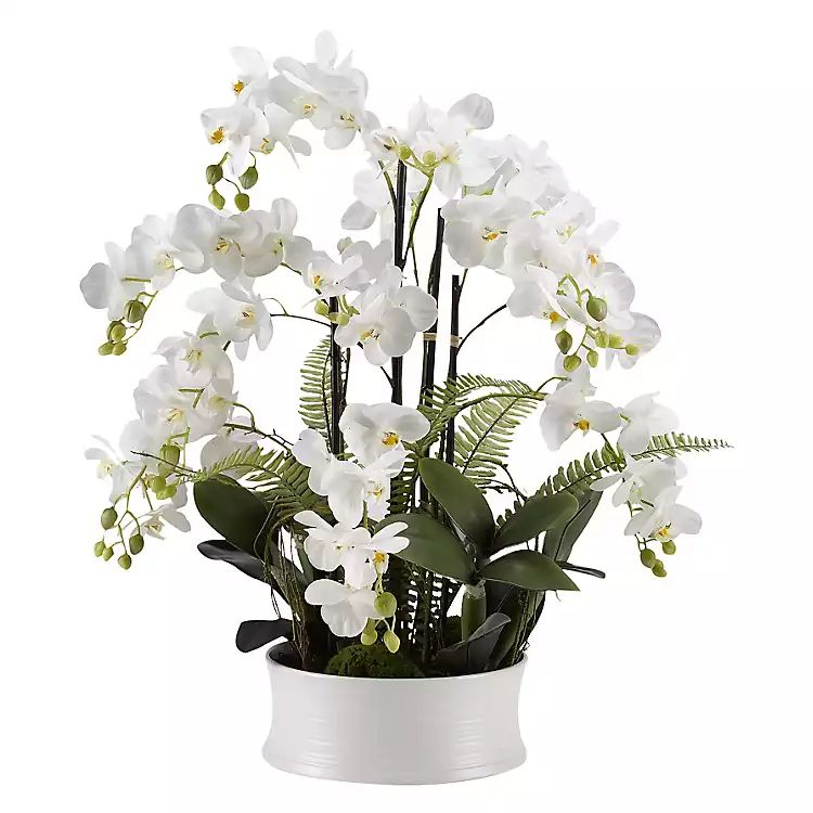 White Orchids in Round White Ceramic Dish | Kirkland's Home