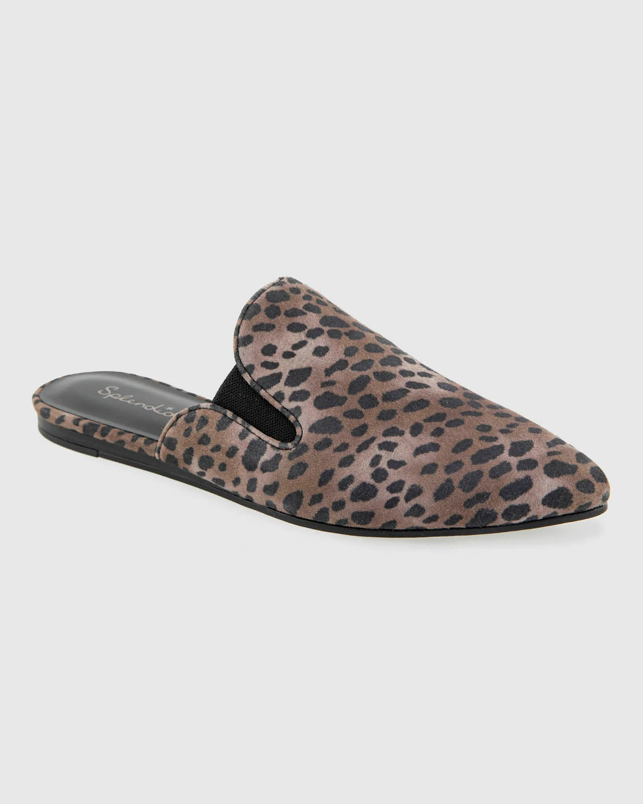Splendid - Liza Suede Mule in Leopard - Leopard Print | Splendid