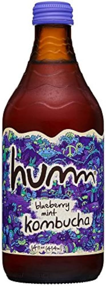 Humm Kombucha, Blueberry Mint, 14 Ounce (Pack of 12) | Amazon (US)