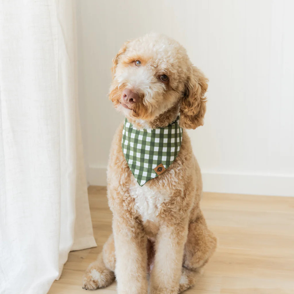 Dog Bandana in Gingham Fir | Kyte Baby