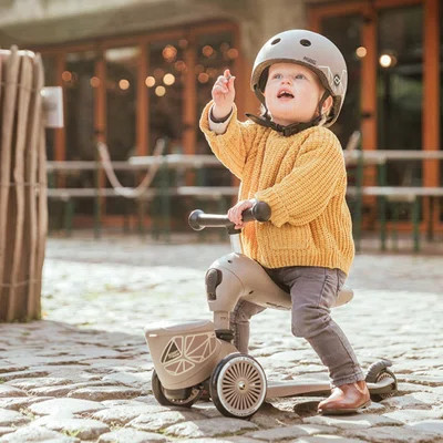 Scoot & Ride 2-in-1 Kids Scooter with Basket, Highwaykick 1 Lifestyle | Wayfair North America