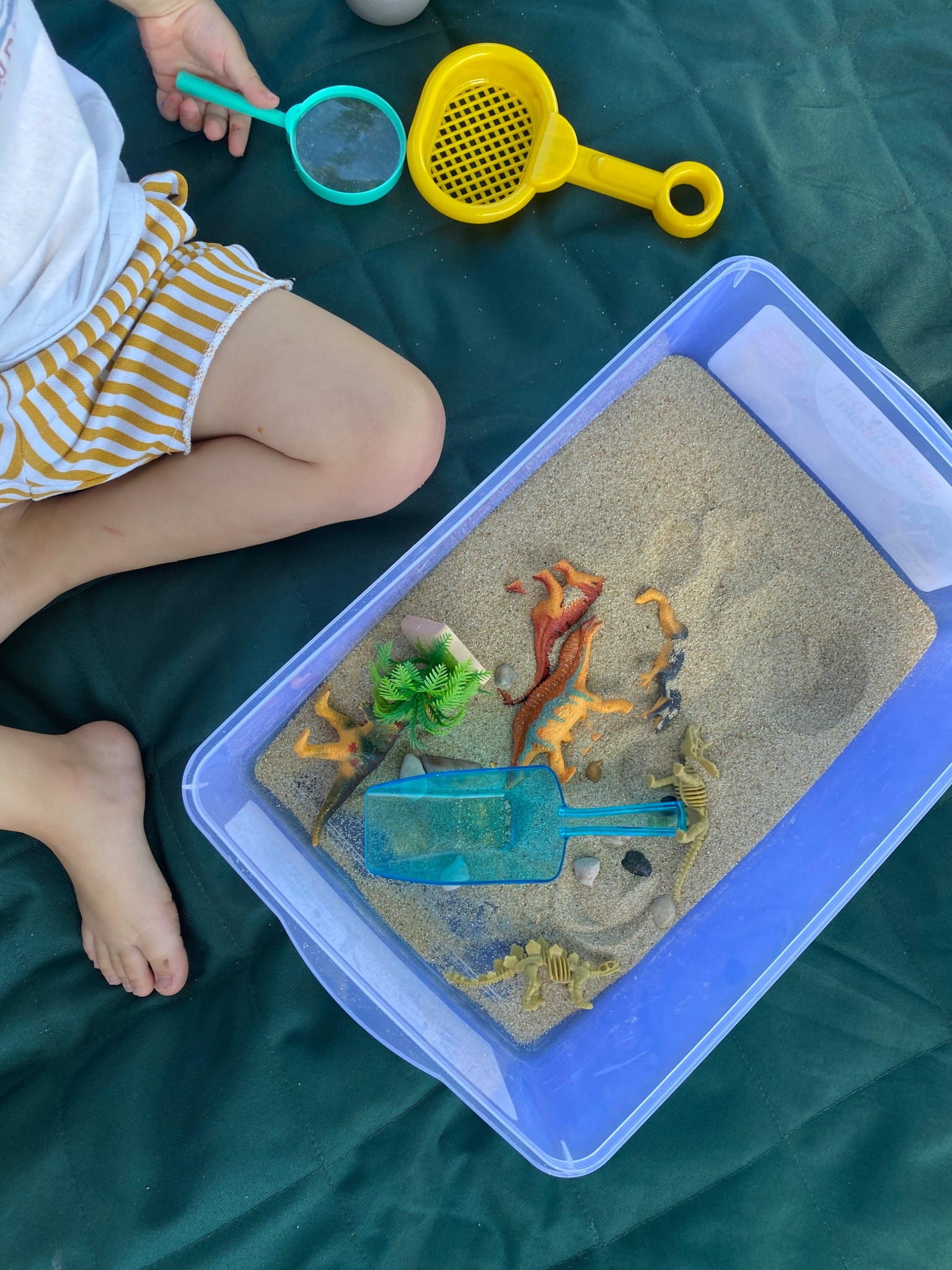 Easy grab & go sensory bin! #sensorybin #toddlergift #2yearold #dino #dinosaur #giftidea #sand #summer #christmas #amazon

#LTKKids