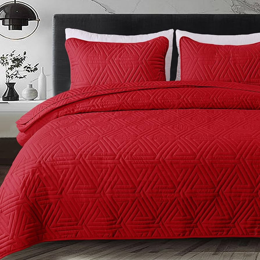 Whale Flotilla Soft Twin Size Quilt Set for All Seasons, 2-Piece Ultrasonic Geometric Quilts Bedd... | Amazon (US)