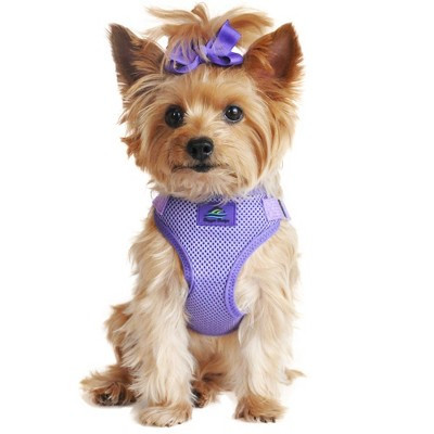 Doggie Design Wrap and Snap Choke Free Dog Harness - Paisley Purple(Small) | Target
