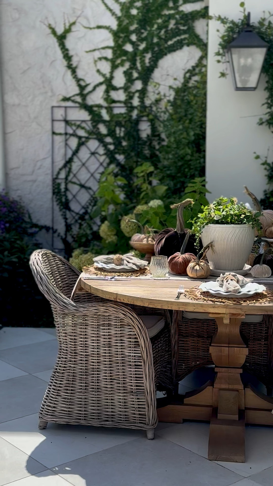 Already thinking of my Thanksgiving tablescape!  I will for sure be using these velvet pumpkins, my new scalloped plates, and the affordable silverware I bought last year after mine disappeared!  Linking my napkins and gingham tablecloth that are new this year too!#LTKFamily 

#LTKHome #LTKSaleAlert