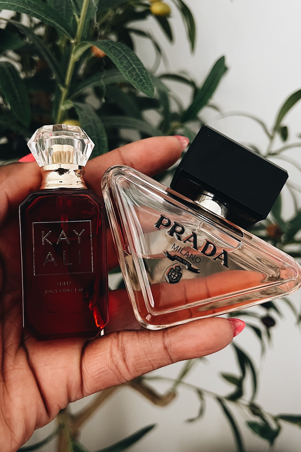 This is such a good perfume combo and both make a great gift. 

Fragrance layering idea / Best fall perfumes for women/,
signature scent ideas/ @prada Paradoxe /@kayali /affordable fragrances/ everyday perfume/ cozy fall fragrance/ my favorite fall scents/ perfume gift ideas.

#LTKBeauty #LTKHoliday #LTKGiftGuide