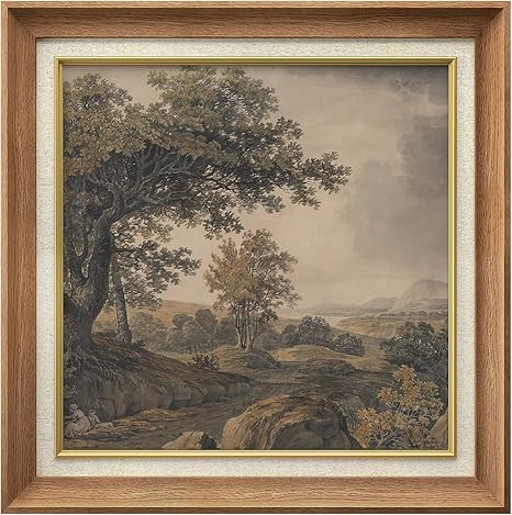 MUDECOR Premium Framed Wall Art Antique Landscape erene Forest Scene, Countryside Charm Illustrat... | Amazon (US)