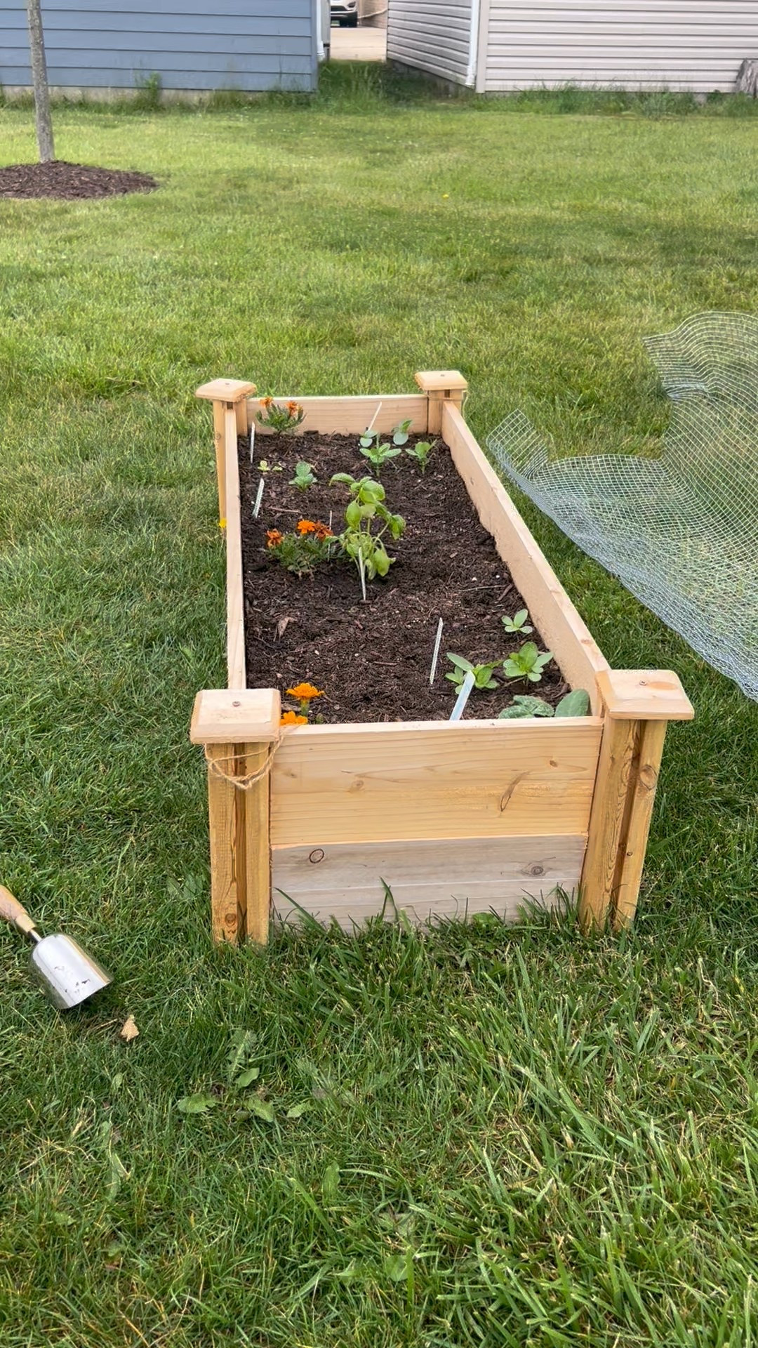 Garden 🪴 must have ♥️ 

#LTKSeasonal #LTKHome #LTKStyleTip