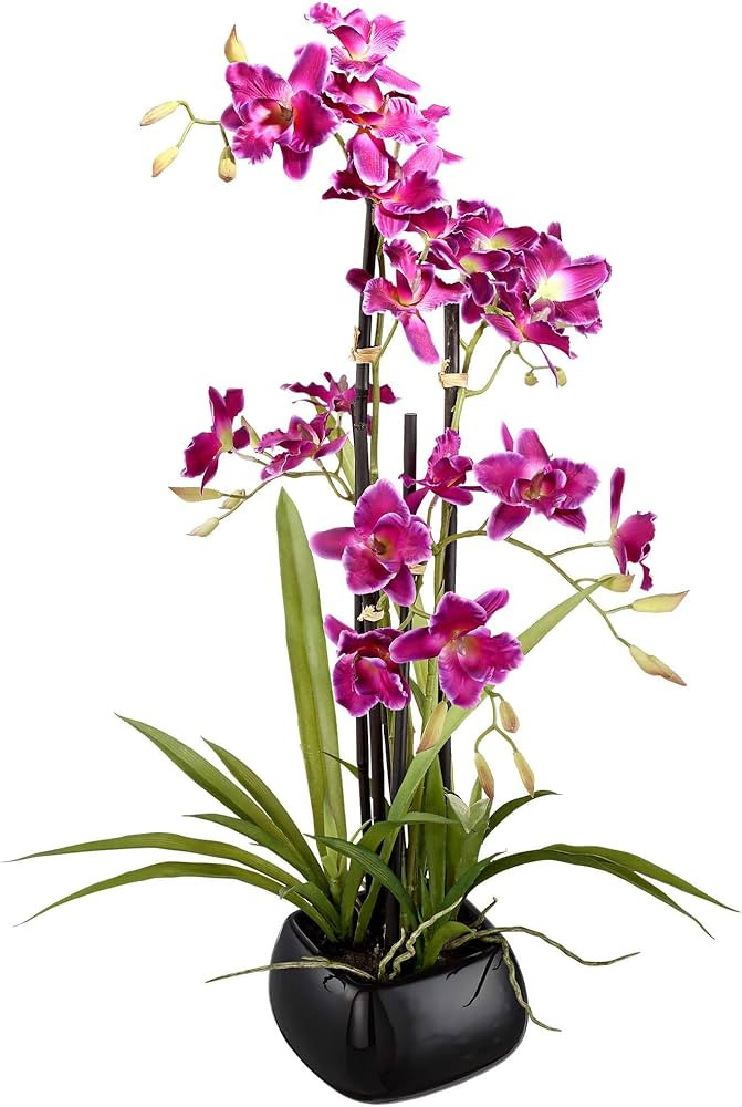 Studio 55D Potted Silk Faux Artificial Flowers Arrangements Realistic Purple Cattleya in Square B... | Amazon (US)