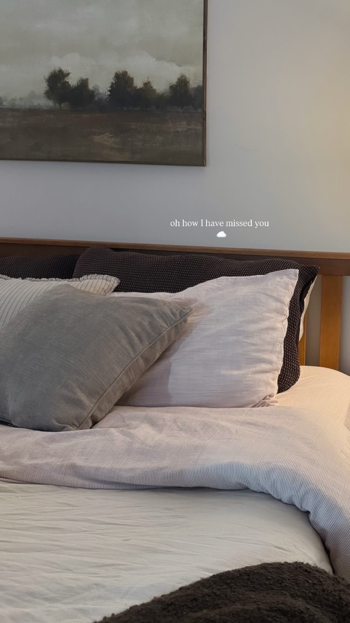 BEDDING ✨☁️

#LTKSeasonal #LTKFindsUnder100 #LTKHome