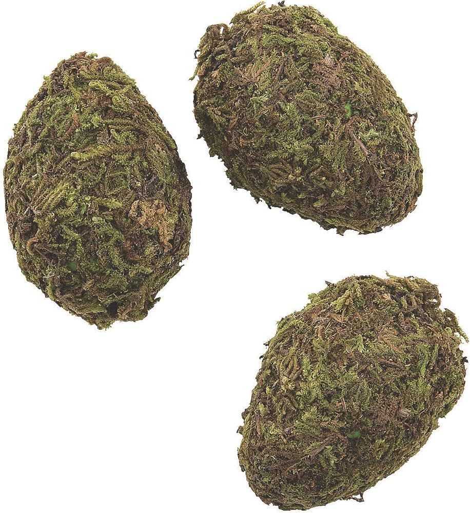 Fun Express Faux Plastic Moss Eggs | Amazon (US)